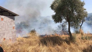 Bodrumda otluk ve zeytinlik alanda yangın