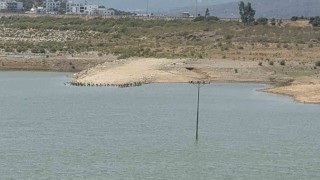 Bodrumda su alarmı: Barajlar kritik seviyeye geriledi