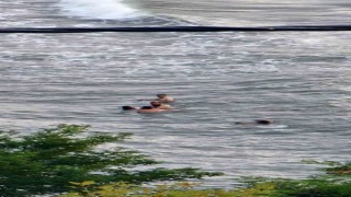 Boğulma tehlikesi geçiren 3 kadını vatandaşlar kurtardı