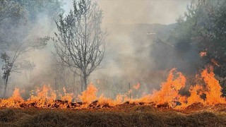 Boluda bidonla akaryakıt satışına yasak