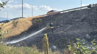 Boluda gişelerin girişinde otluk alanda yangın