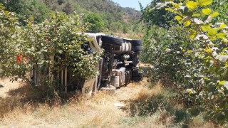Boluda kontrolden çıkan tır fındık bahçesine devrildi