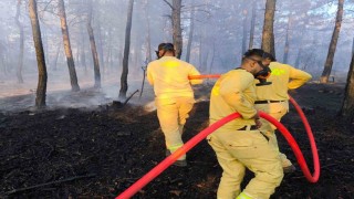 Boluda küle dönen 20 hektar ormanda, soğutma çalışması sürüyor