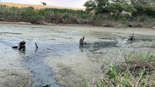 Boluda, kuruyan gölette mahsur kalan balıklar kurtarıldı