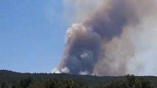 Boluda orman yangını başladı