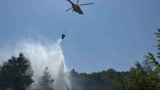Boluda ormanlık alanda çıkan yangın büyümeden söndürüldü