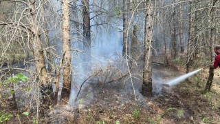 Boluda ormanlık alanda çıkan yangın kontrol altına alındı