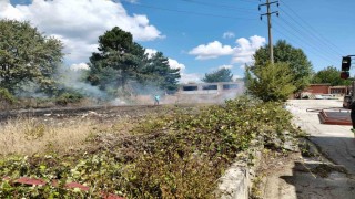 Boluda ot yangını büyümeden söndürüldü