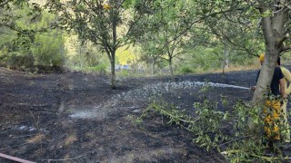 Boluda otluk alanda çıkan yangın ormana sıçramadan söndürüldü