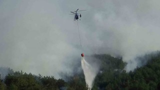 Boludaki orman yangını kısmen kontrol altında: 2 gözaltı