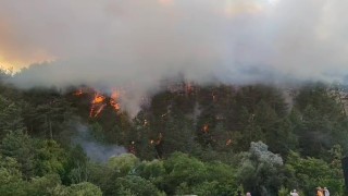 Boludaki orman yangını yayılıyor: 7 helikopterle havadan destek