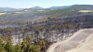 Boludaki orman yangınıyla ilgili 1 kişi tutuklandı