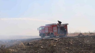 Boş arazide çıkan yangın yerleşim birimlerine sıçramadan söndürüldü