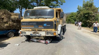 Bozdoğanda kamyon ve motosiklet çarpıştı: 1 yaralı