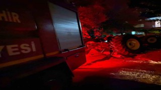 Bozdoğanda traktör devrildi: 1 ölü