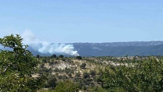 Bozyazıda orman yangını