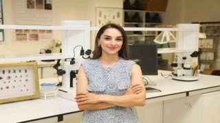 BTÜ Karacabeyin nadir böcek türlerini kayıt altına alacak