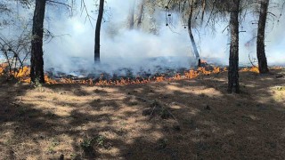 Buldanda çıkan orman yangını kısa sürede kontrol altına alındı