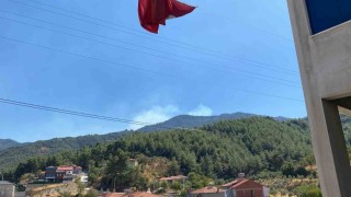 Buldanda ormanlık alanda yangın çıktı