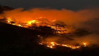 Buldanda sarp arazide orman yangını çıktı