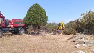 Bursa Nilüferdeki orman yangını kontrol altına alındı