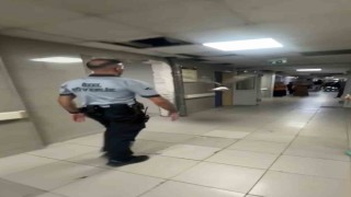 Bursada bir martı acile uçarak girdi