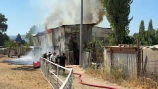 Bursada hayvan damı yandı: 1 at, 2 keçi telef oldu