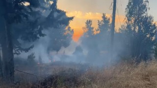 Bursada korkutan orman yangını