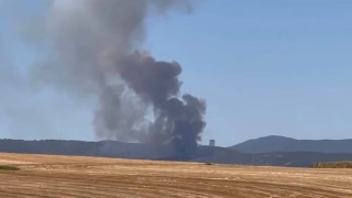 Bursada orman yangını...