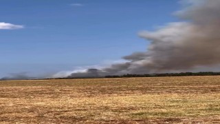 Bursada orman yangını, çok sayıda ekip müdahale ediyor