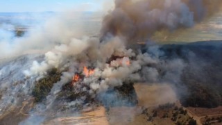 Bursada orman yangını havadan görüntülendi