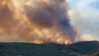 Bursada orman yangınıyla amansız mücadele sürüyor