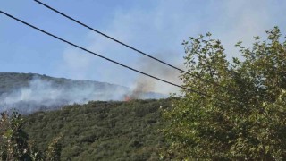 Bursadaki orman yangını kontrol altına alındı