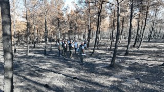 Çanakkale Orman Bölge Müdürü Demirci: 2025 yılında 130 adet orman yangınında 8 bin 196 hektar orman alanımız zarar görmüştür