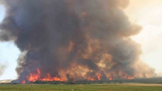 Çanakkale Valiliğinden yüksek orman yangını riski uyarısı