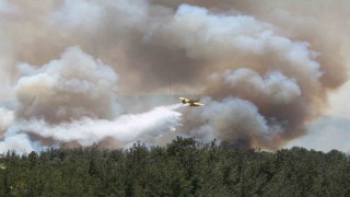 Çanakkalede alevler yeniden yükseldi, havadan karadan müdahale sürüyor