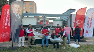 Çanakkalede baraj ve göletlere 2 milyon aynalı sazan yavrusu bırakıldı