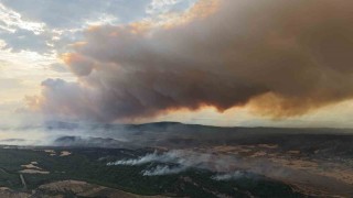 Çanakkalede devam eden yangın nedeniyle Tarihi Alanın kuzey hattı geçici süreyle kapatıldı
