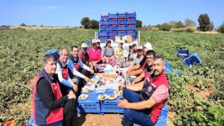 Çanakkalede İl Tarım Müdürlüğünden üreticilere domates hasadı ziyareti