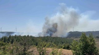 Çanakkalede orman yangını