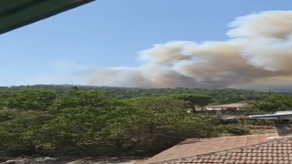 Çanakkalede orman yangını