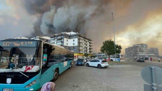 Çanakkalede orman yangını hastaneye yaklaştı