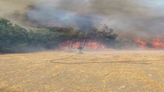 Çanakkalede orman yangınına havadan ve karadan müdahale ediliyor