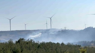 Çanakkalede orman yangınına müdahale kapasitesi arttırıldı