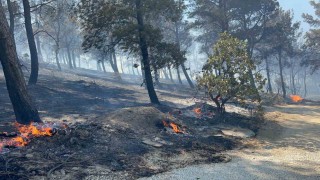 Çanakkalede ormanlık alana sıçrayan yangında villalar yandı