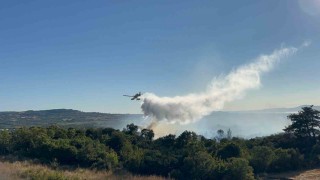Çanakkalede tarım arazisinde başlayarak ormanlık alana sıçrayan yangın kontrol altına alındı