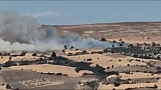 Çanakkalede tarım arazisinde yangın