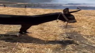 Çanakkalede tarım arazisindeki yangında ağaca bağlı eşeği vatandaş kurtardı