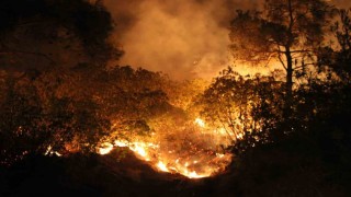 Çanakkalede yangın etkisini sürdürüyor... Ekiplerin müdahalesi gece de sürüyor