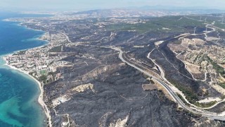 Çanakkalede yangından geriye bu acı tablo kaldı